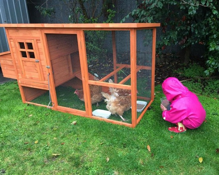 Chicken Coop Medium In Backyard Photo
